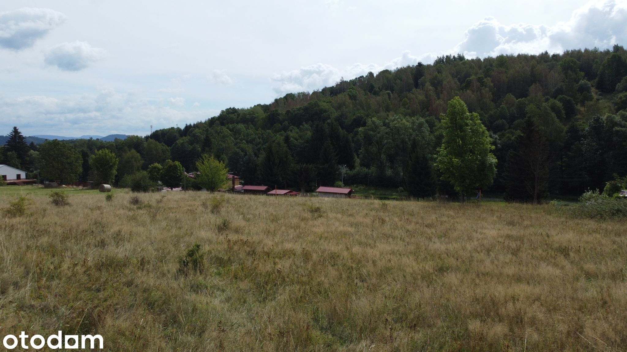 Jarkowice w kierunku Schronika - rekreacyjna — Jarkowice